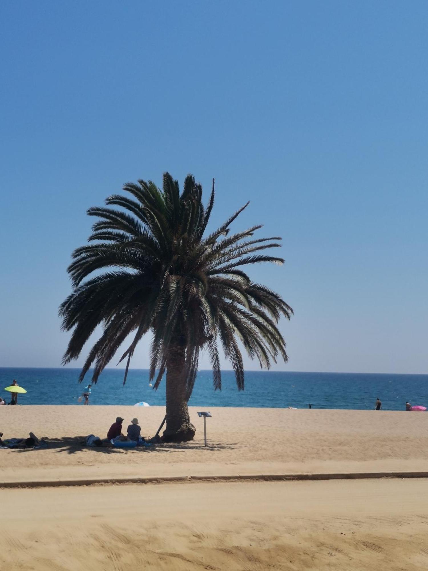 Apartamento Centrico En Calella Exteriör bild