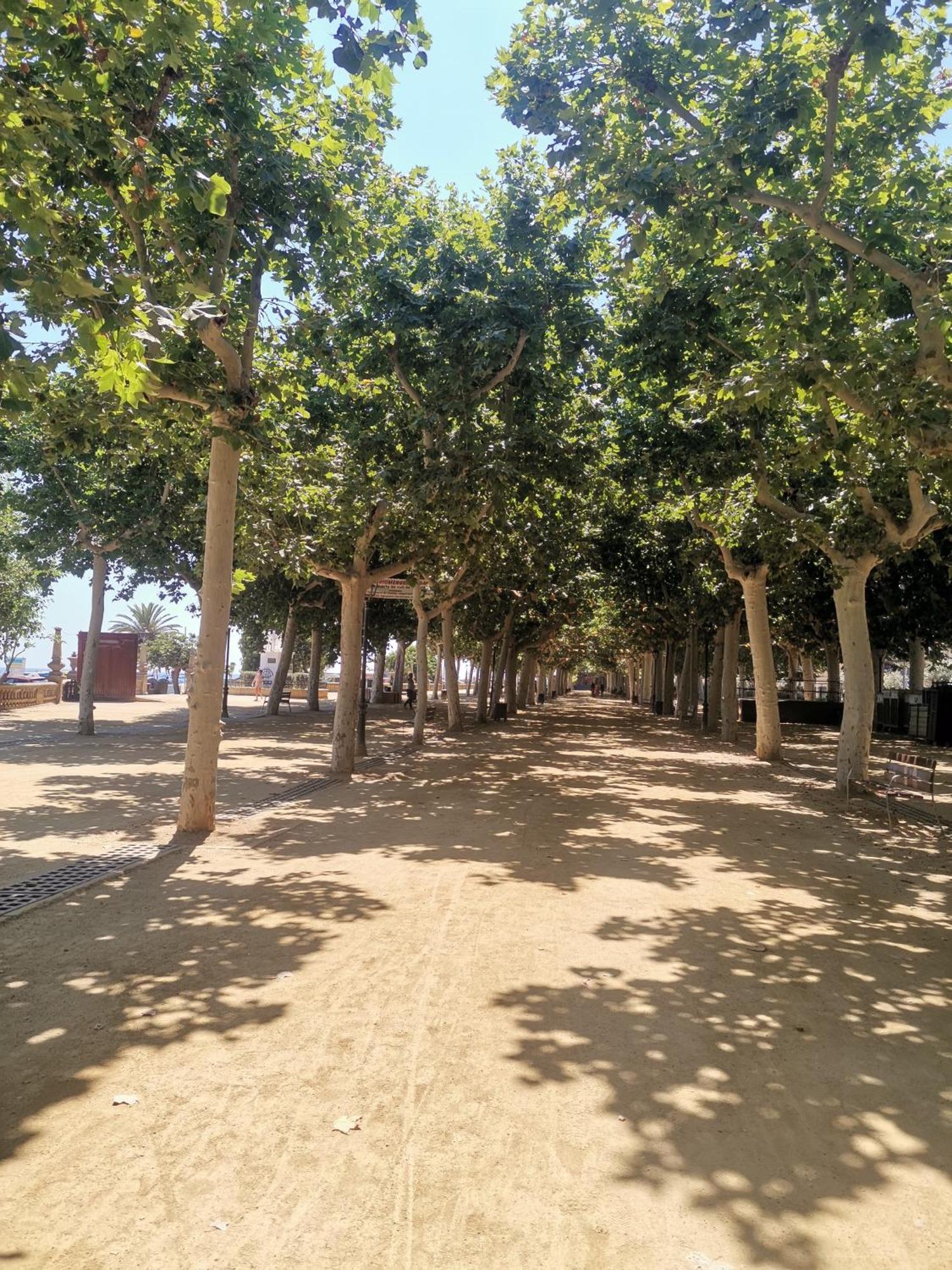 Apartamento Centrico En Calella Exteriör bild